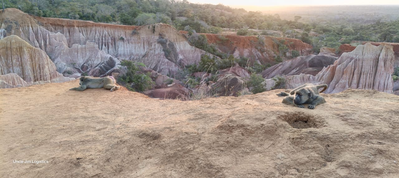 Hells Kitchen Kenya restaurant Uncle Jim